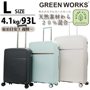 10%OFFCPzzI X[cP[X VRfނz LTCY 1Tԁ` y L[obO Wbp[^Cv o _uLX^[ VtbN TXeiu ~g O[ x[W GRE