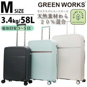 11%OFFCPzzI X[cP[X VRfނz MTCY 3`5ڈ y L[obO Wbp[^Cv o _uLX^[ VtbN TXeiu ~g O[ x[W GREENWORKS 