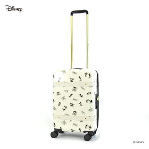 ディズニー 機内持ち込み キャリーケース キャリーバッグの人気商品 通販 価格比較 価格 Com