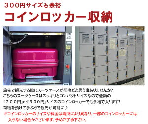 LCC機内持ち込み対応サイズ鏡面スーツケース≪GRE2042≫48cmSサイズファスナータイプ約1日〜3日向き小型TSAロック付双輪キャスター搭載【送料無料&1年保証付】GREENWORKSグリーンワークス