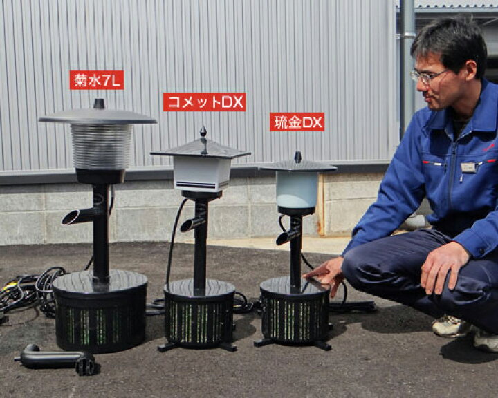 楽天市場】ゼンスイ ウォータークリーナー 琉金DX (100V17/18W) 単品 