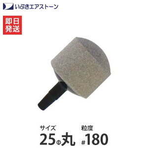 Ԃ Z~bNGAXg[ 25/#180 [p GA[V GA[|v GA[Xg[]