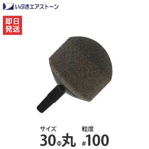 Ԃ Z~bNGAXg[ 30/#100 [p GA[V GA[|v GA[Xg[]