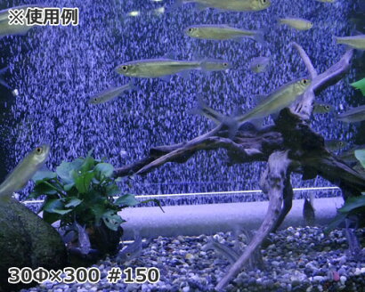 楽天市場 いぶき セラミック製エアストーン 30f 78 100 水槽用 エアレーション エアーポンプ エアーストーン ミナト電機工業