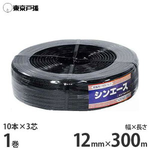 ͎^nEXoh VG[X S3030 12mm×300m×1 (10{×3c)