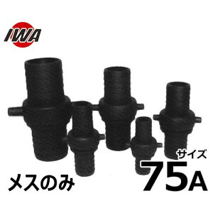 萻쏊 lWz[Xp ubNJbv X̂ 75A  41A075P [z[XJbvO]