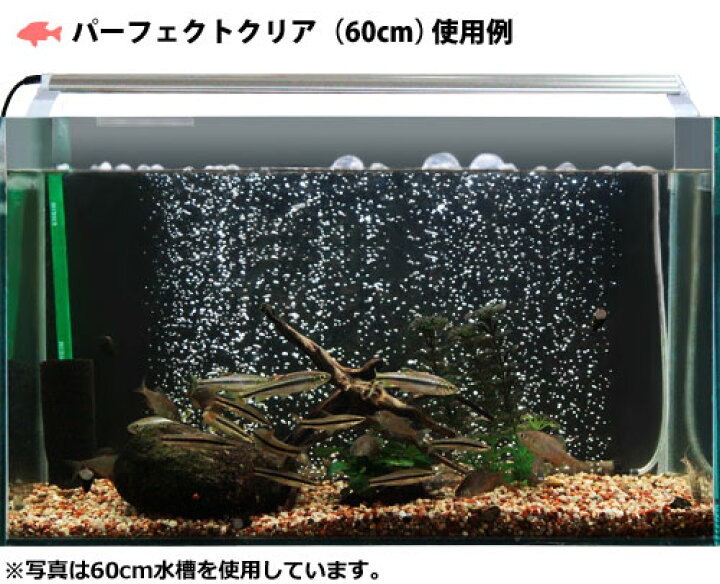 楽天市場】ゼンスイ 水槽用LEDランプ PLUS 60cm (パーフェクトクリア 