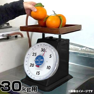 CAMRY M 30kgp () [J[ M͂ ]