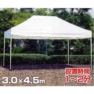 �t�i�C �X�s�[�h�e���g FS3045 [�T�C�Y3.0×4.5]