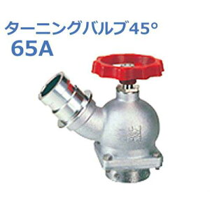  U (ΐ) 1.0MPa^[jOou45° SV-13-65A (p)