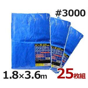 PCGX u[V[g 1.8m×3.6m #3000E^Cv 25 (4) [hV[g]