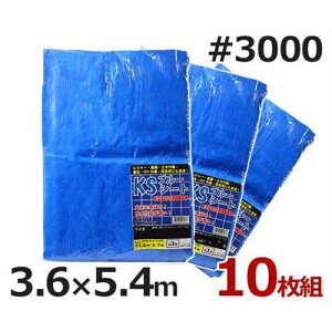 PCGX u[V[g 3.6m×5.4m #3000E^Cv 10 (12) [hV[g]