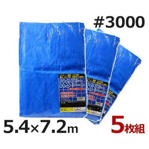 PCGX u[V[g 5.4m×7.2m #3000E^Cv 5 (24) [hV[g]