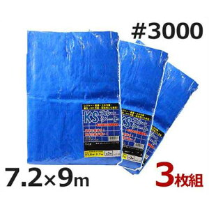 PCGX u[V[g 7.2m×9m #3000E^Cv 3 (40) [hV[g]