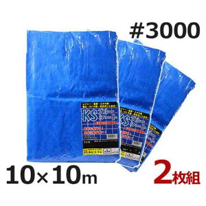 PCGX u[V[g 10m×10m #3000E^Cv 2 (62) [hV[g]