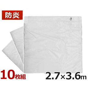 PCGX hV[g 2.7m×3.6m (10g/) [KS h ΍]