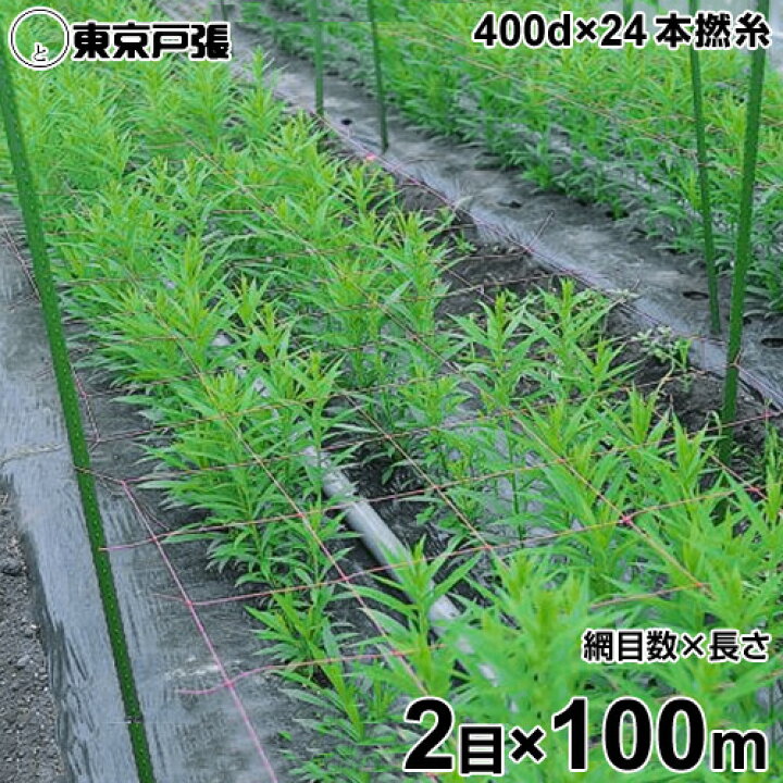 楽天市場】フラワーネット 400d×24本・撚糸 2目×長さ100m : ミナトワークス