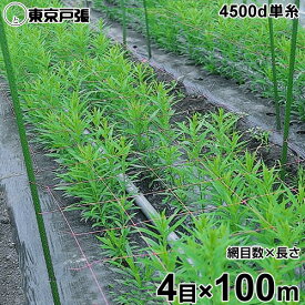 フラワーネット 4500d×1本・単糸 4目×長さ100m