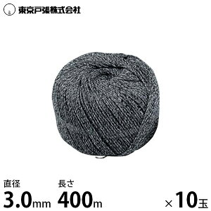 �_���p���[�v �r�j�R�����[�v T30 2kg��×10�ʃZ�b�g (���a3.0mm/������400m)
