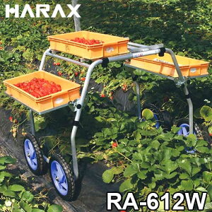 nbNX n yY RA-612W (䕂̎np)