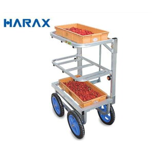 nbNX n ؍ SW-312 (䕂̎np)