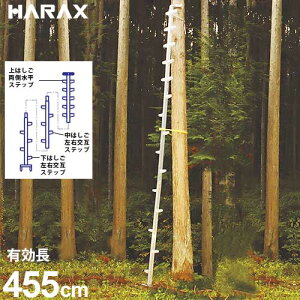 �n���b�N�X �}�ł���q �����_ WR-45 (�L����455cm) [�n�V�S �͂���]