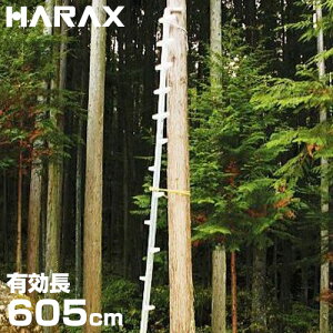 �n���b�N�X �}�ł���q �����_ WR-60 (�L����605cm) [�n�V�S �͂���]