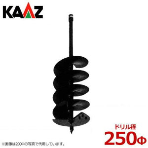 J[c GWI[K[ ph 250 [A[XI[K[ @@ GWI[K]