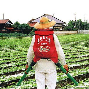 엿Uz@ ܂[ ܂p (ܗe20kg) [엿Uz]