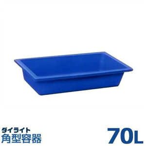 _CCg p^e RS-70L (e70LE|G`Ee)