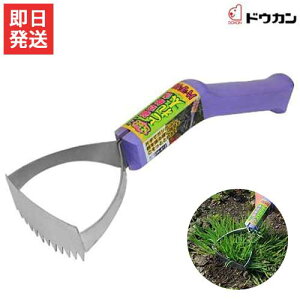 hEJ G ƂƂꑾ Ўp DK-812 [p @ k G N  W [L]