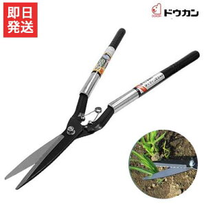 hEJ G Ub\[L No.0126 [p @  |͂ 荞]