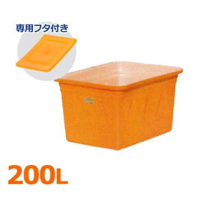 XCR[ p^e K-200{pt^tZbg (e200L) [p^^N K^e p]