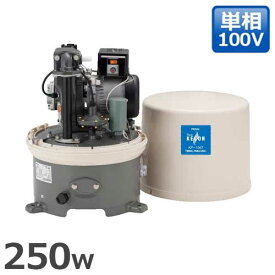 テラル多久 深井戸ポンプ KP-255T/KP-256T (標準ジェットKP-J212EX付/単相100V250W/吸上高6～12m/自動式)