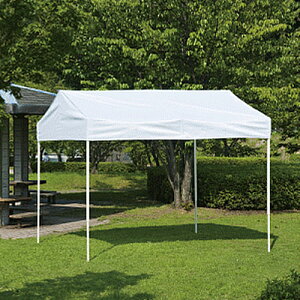 KISHI XJC[u eg K-33 (Ld}^/300×282×260)