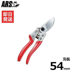 y[ցzAX  uCGXGCg VS-8Z [ARS ͂ nT~ |͂ |nT~]