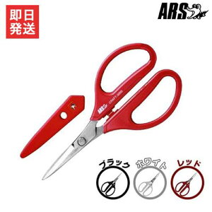 y[ցzAX prEXeX͂ AXk[{[ 3000 (bh/zCg/ubN) [ARS  ]