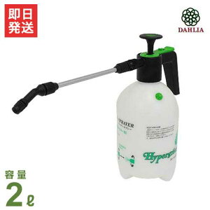 _ ~  }CX^[ #2260 (e2L/O[^[mYt) [}n`Y 蓮  @ ]