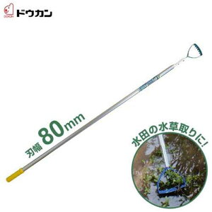 hEJ cF Ƃꑾ DK-816 (n80mm) [cp p @  ]