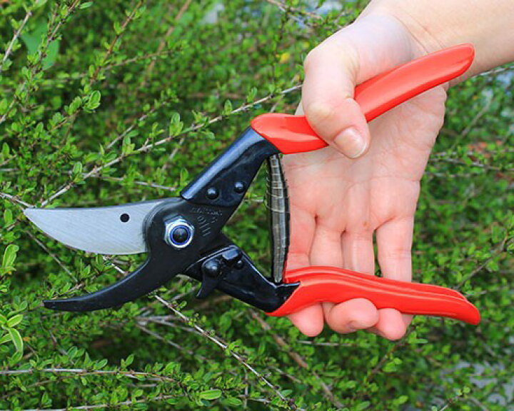 楽天市場 フェルコ 剪定鋏 Felco5 切断能力25mm 園芸用 剪定バサミ 剪定ばさみ 剪定はさみ ミナトワークス