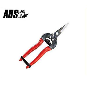 AX EV[g^Cv 175mm 300S (uX^[pbN/n34mm) [ARS ʕp nT~ ͂]