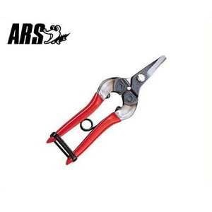AX ̉ 310 (/n26mm) [ARS ʕp nT~ ͂]