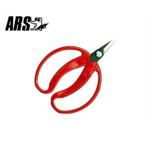 AX ݂̎  420 (ܓ/n24mm) [ARS ʕp ~J  nT~ ͂]