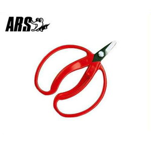 AX ݂̎  410 (ܓ/n24mm) [ARS ʕp ~J  nT~ ͂]