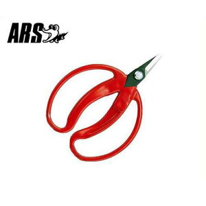 AX ݂̎  430 (ܓ/n24mm) [ARS ʕp ~J  nT~ ͂]