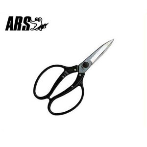 AX yʐA U-600L (O^Cv/n75mm) [ARS]