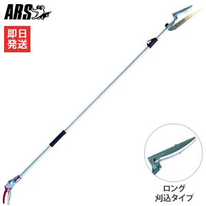 yԌI500~OFFN[|zAX Lk} 190ZTR-3.1-5D (^Cv) [ARS }؂oT~ }؂  ΂]