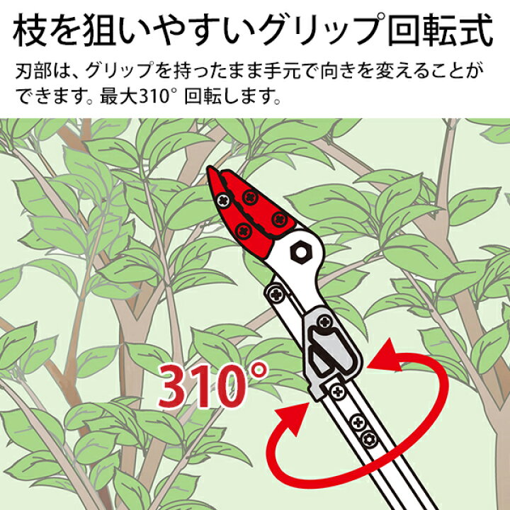 楽天市場】アルス 軽量伸縮式高枝鋏ズームチョキエコノ採収タイプ 