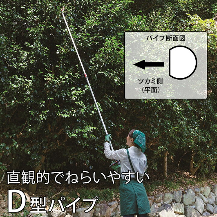 楽天市場】アルス 軽量伸縮式高枝鋏ズームチョキエコノ採収タイプ 