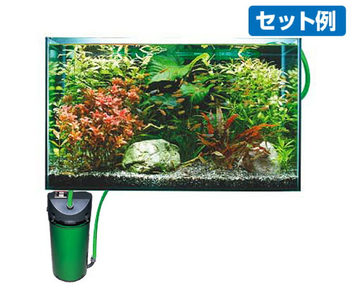 楽天市場 取扱終了 エーハイム オールガラス水槽 Ej 60 幅60cm 奥行30cm 高さ36cm ミナトワークス